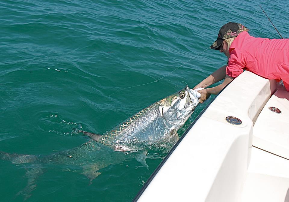 Larysa Unleashed - 9454155320236735282491036693692n.jpg